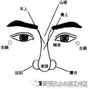 繼室鼻|「面相」看鼻相知命運